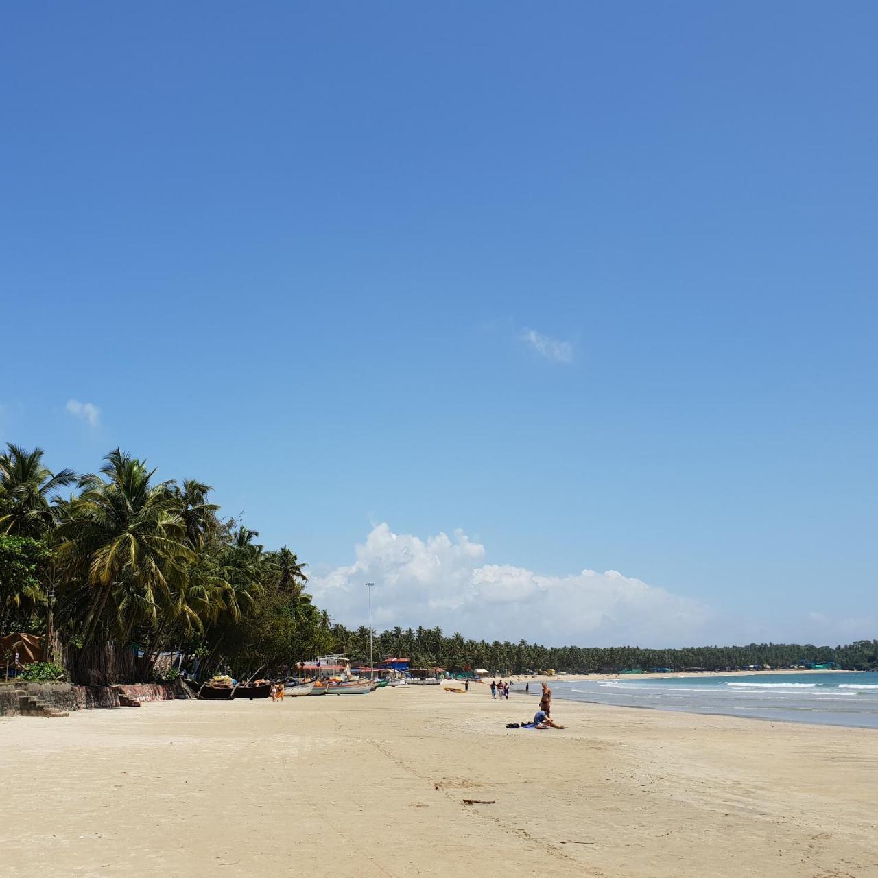 Palm Forest Палолем Экстерьер фото