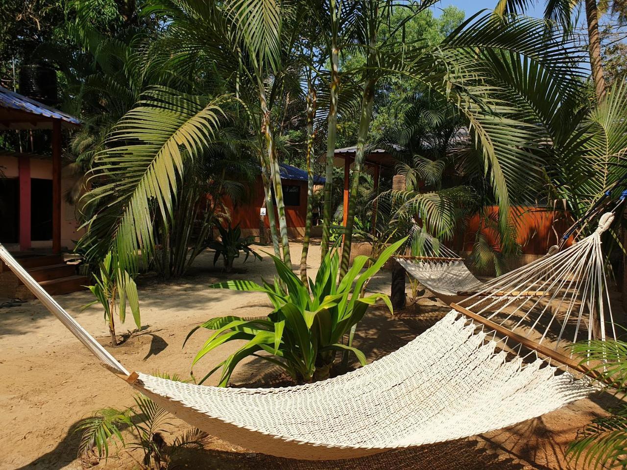 Palm Forest Палолем Экстерьер фото